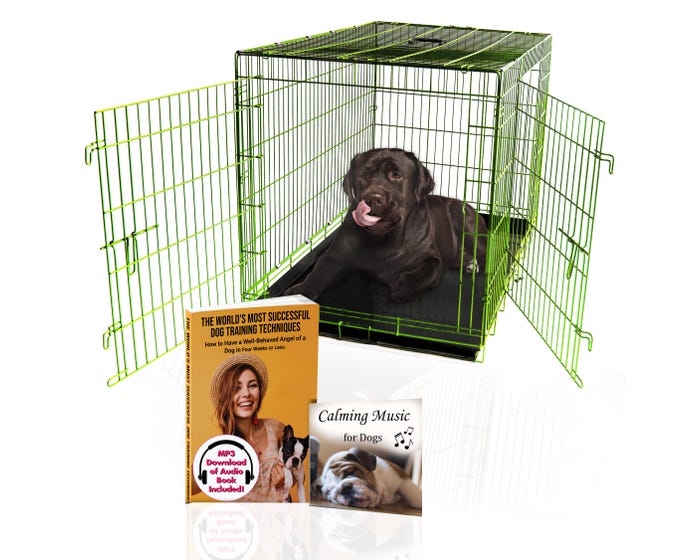 Pet Expressions Colored Metal Wire Dog Crate， 48