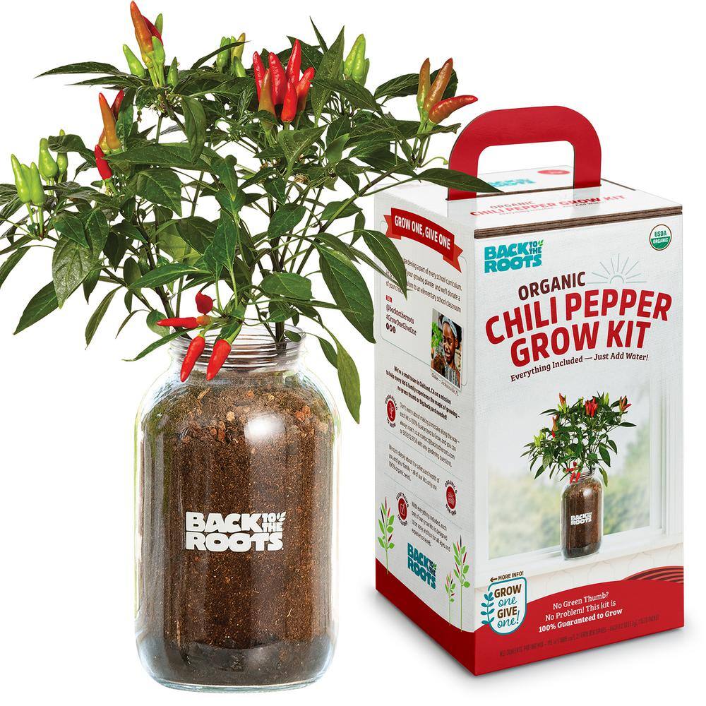 Back to the Roots Windowsill Organic Chili Pepper Grow Kit 25200