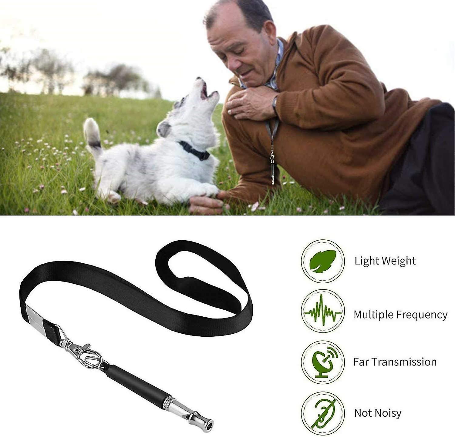 Dog Whistle， 2 Pieces Professional Ultrasonic Whistle， Adjustable With Lanyard Dog Training Kit Dog Whistle