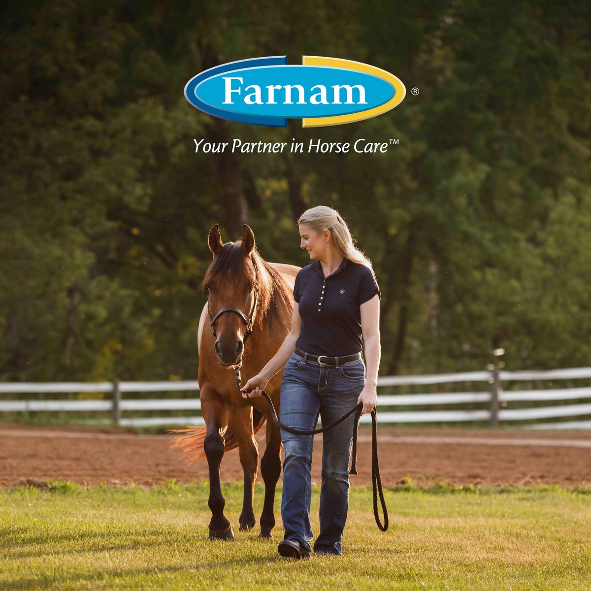 Farnam Horseshoer's Secret Hoof Health Hay Flavor Pellets Horse Supplement