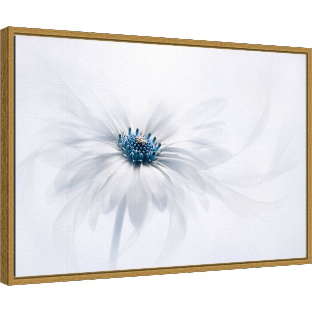 X 16 quot Serene Flower By Jacky Parker Framed Wall Canvas White Amanti Art