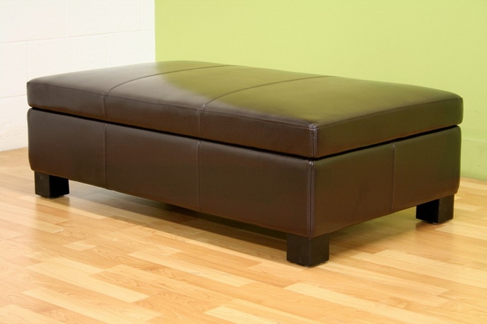 Gallo Dark Brown Leather Storage Ottoman   Transitional   Footstools And Ottomans   by Imtinanz  LLC  Houzz