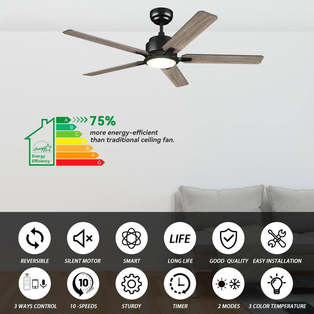 CARRO Essex 52 in Dimmable LED IndoorOutdoor Black Smart Ceiling Fan with Light and Remote Works wAlexaGoogle Home