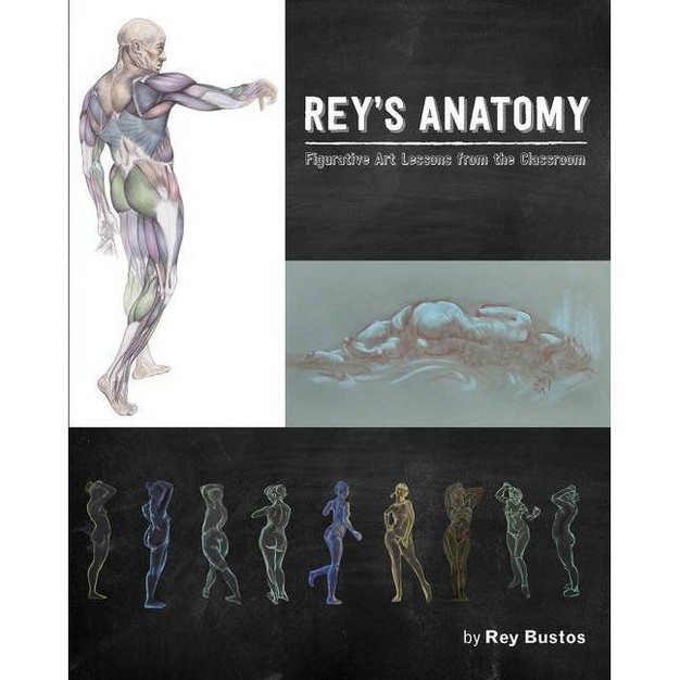 Rey x27 s Anatomy