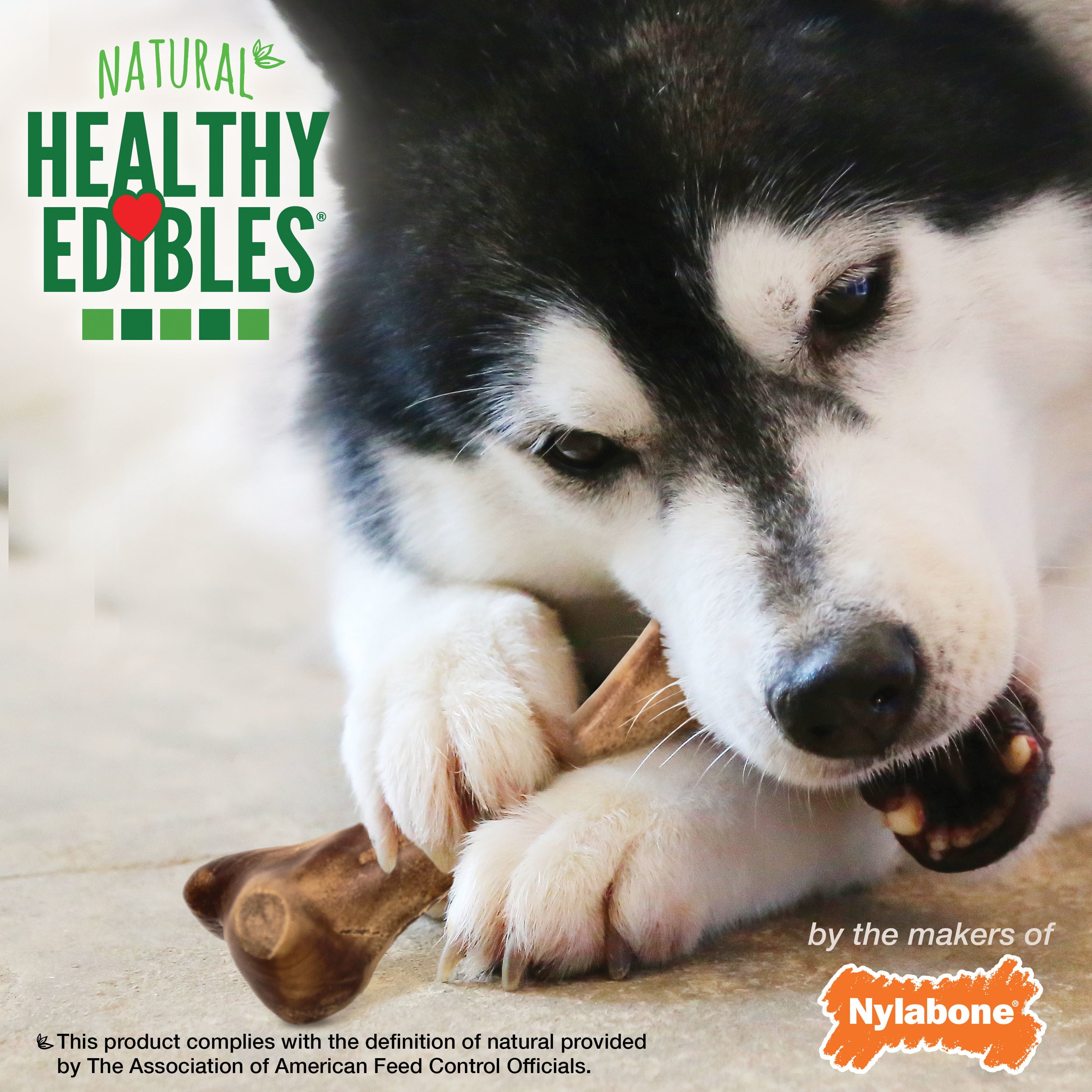 Nylabone Healthy Edibles WILD Natural Long Lasting Bison Flavor Dog Chew Treats Wild Bone Large/Giant (1 Count)