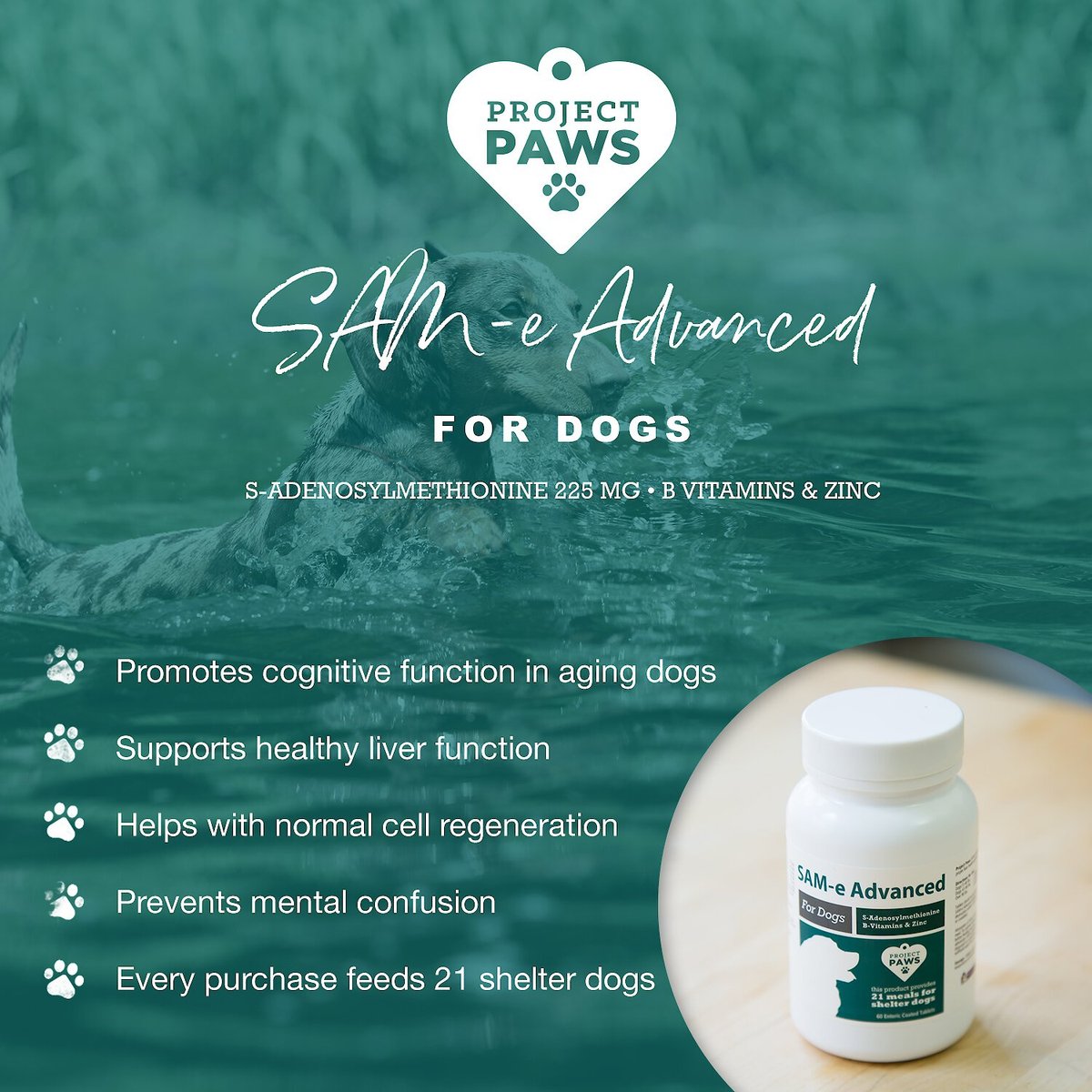 Project Paws SAM-e Advanced Liver Support Dog Supplement