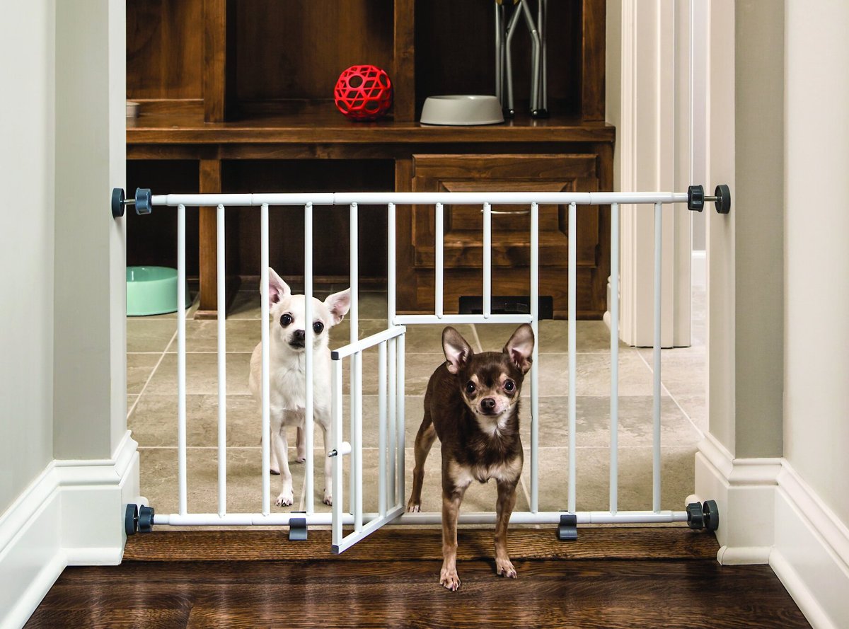 Carlson Pet Products Mini Gate with Pet Door