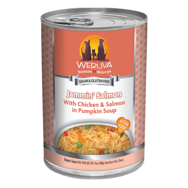 Weruva Jammin' Salmon with Chicken and Salmon in Pumpkin Soup Canned Dog