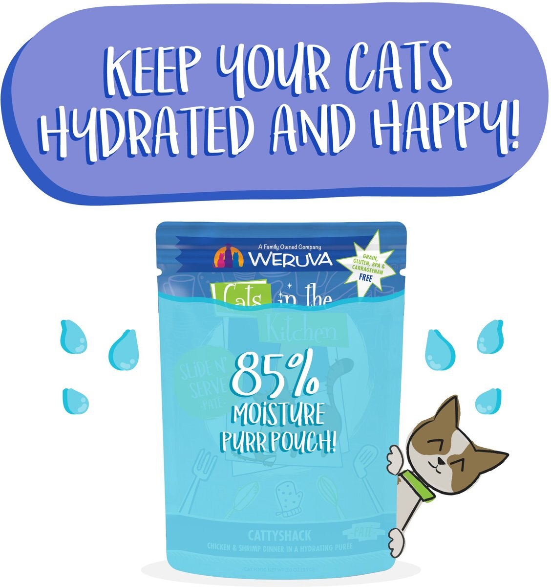 Weruva Cats in the Kitchen Cattyshack with Chicken and Shrimp Pate Grain-Free Cat Food Pouches