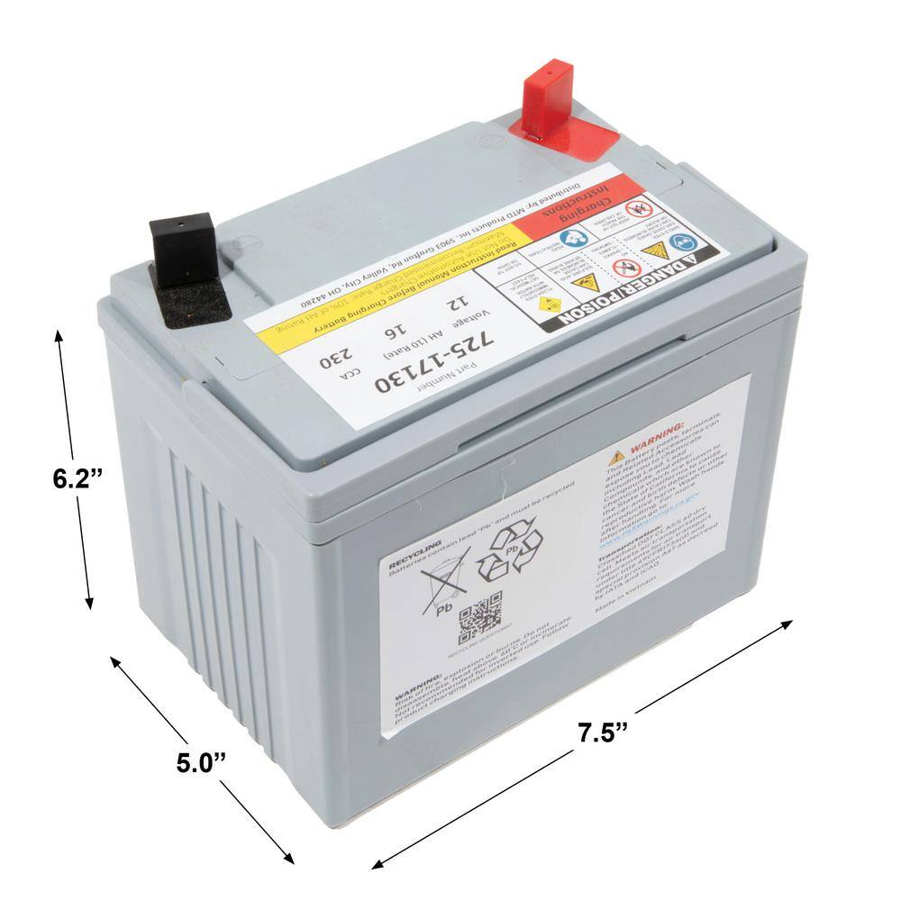 MTD Genuine Factory Parts Replacement 12-Volt 16 Ah 230 CCA Sealed AGM Riding Lawn Mower Battery 725P17130