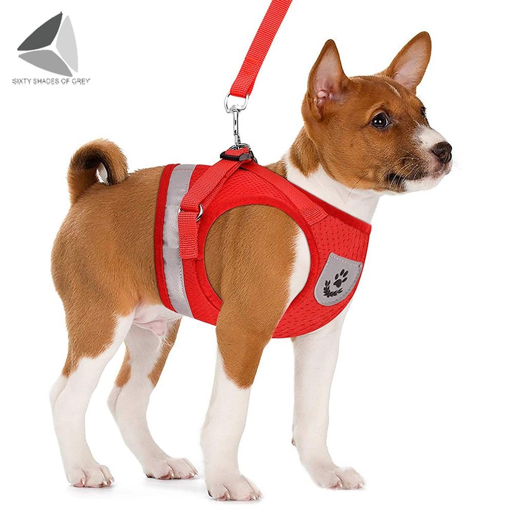 Sixtyshades Step-in Air Dog Harness Pet Vest No Pull No Choke Adjustable Dog Harnesses with Padded Vest， Easy to Put on for Small Dogs Cats (L， Red)