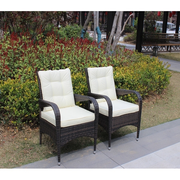 Outdoor Patio Furniture Set Conversation Set 2Piece Resin Wicker Dining Sofa Chair Set for Patio，Backyard，Garden，Meadow