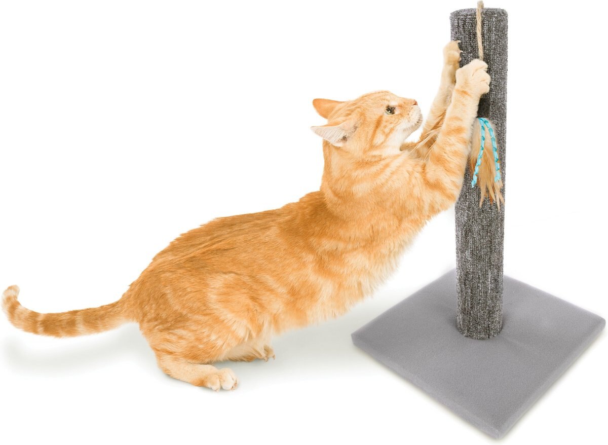 SmartyKat Simply Scratch Carpet Cat Scratch Post with Feather Cat Toy