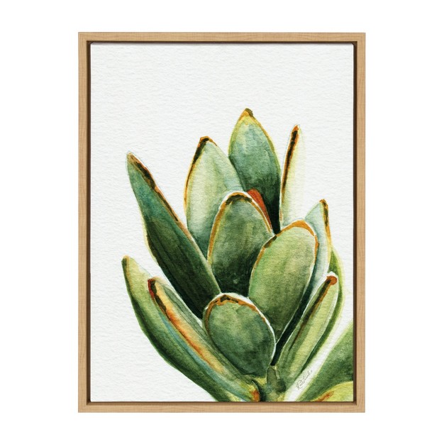 X 24 quot Sylvie Succulent 18 Framed Canvas By Jennifer Redstreake Geary Natural Kate amp Laurel All Things Decor