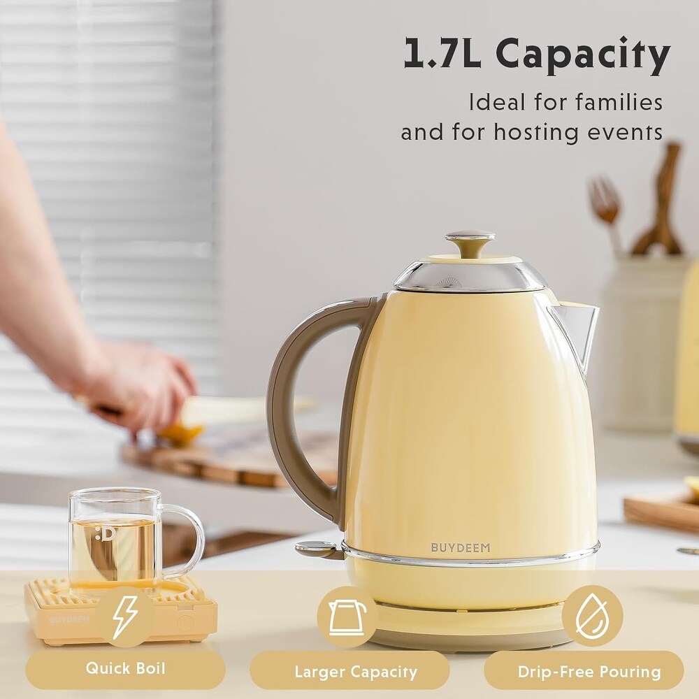 Stainless Steel Electric Tea Kettle