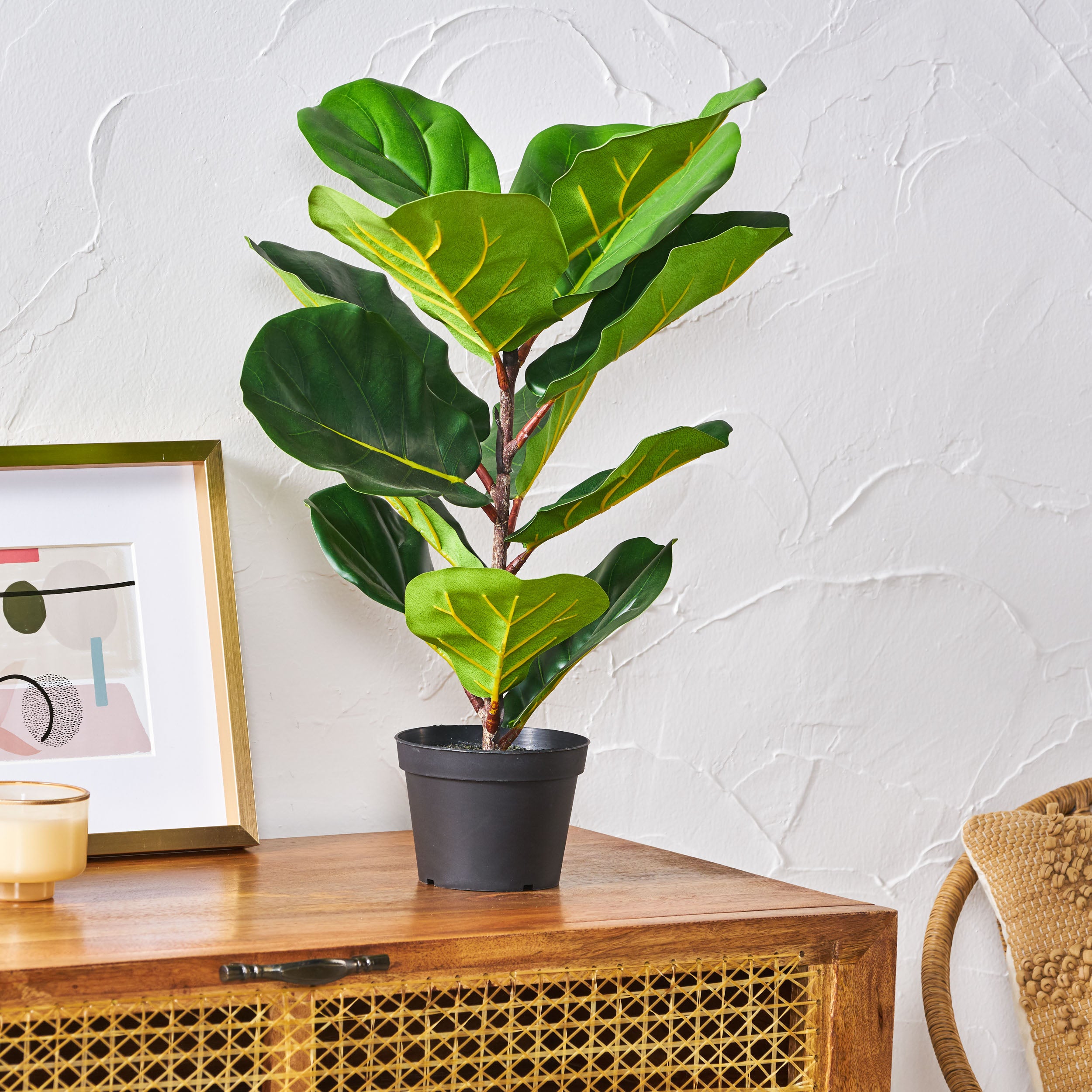 Stilwell Artificial Fiddle-Leaf Fig Tree