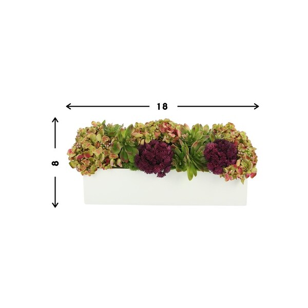 Sedum and Thistle Arranged in Rectangular Planter