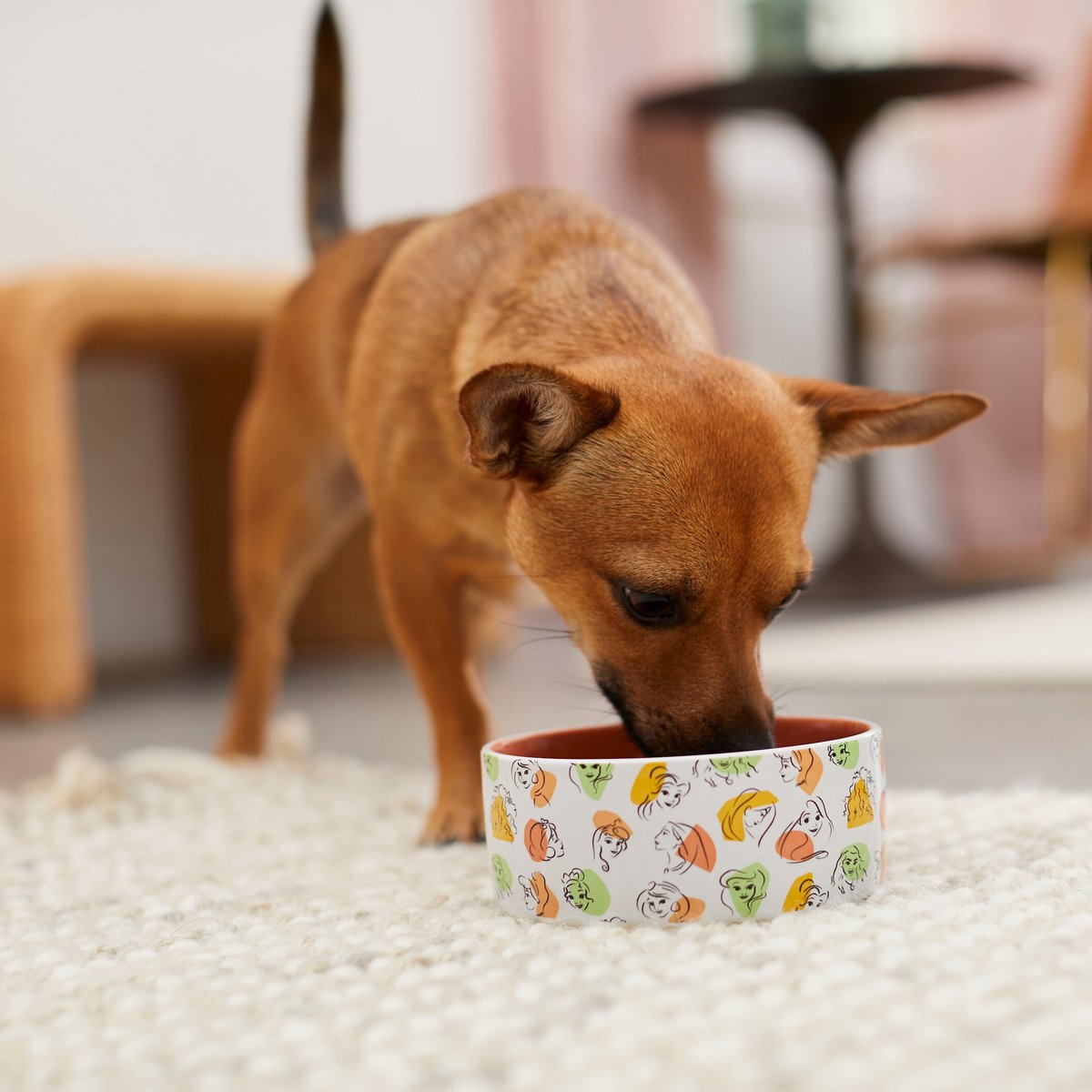 Disney Princesses Non-Skid Ceramic Dog and Cat Bowl