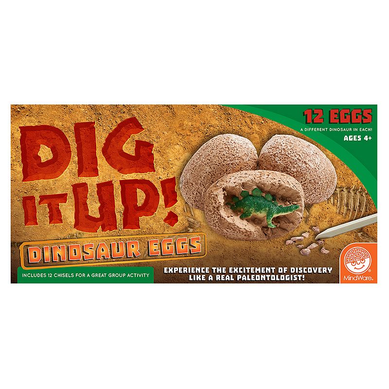 Dig It Up! Dinosaur Eggs by MindWare