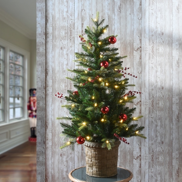 National Tree Company 4 ft. Scotch Creek Fir Entrance Tree with LED Lights