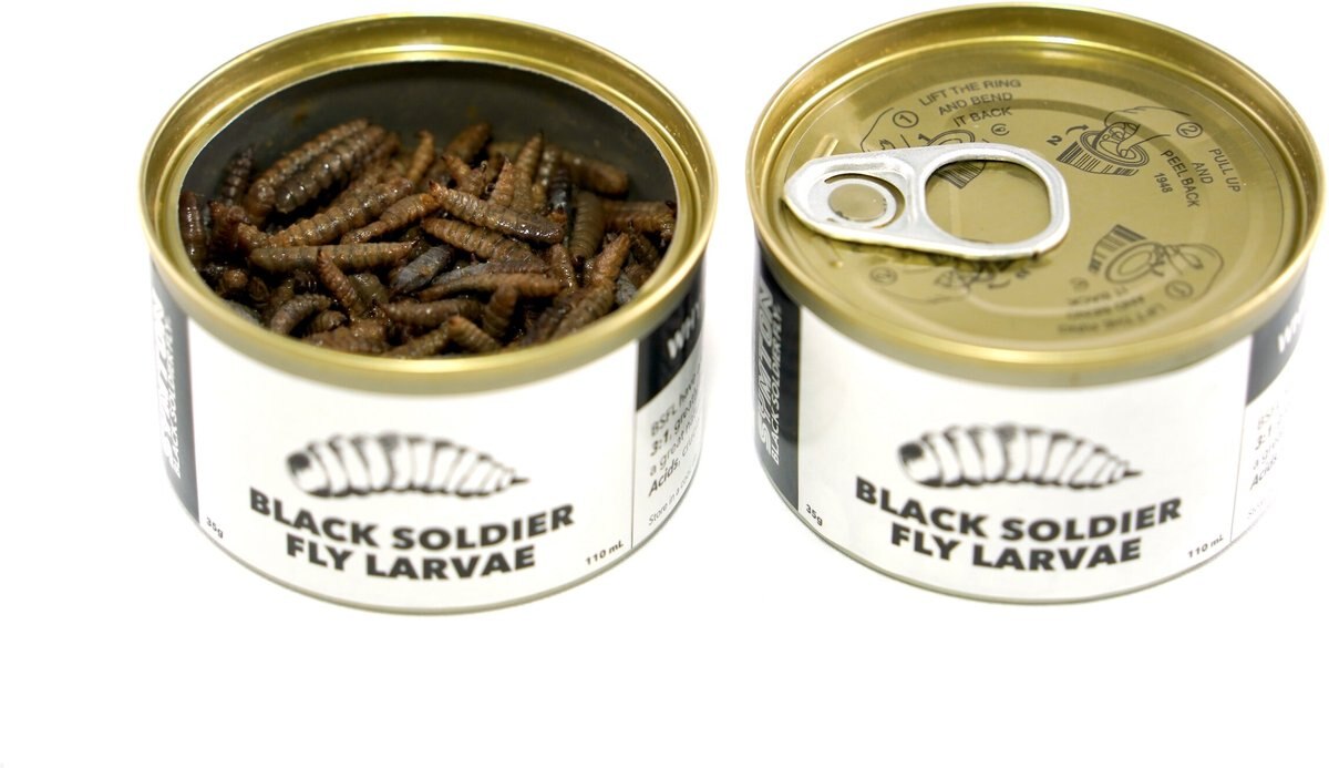 Symton Black Soldier Fly Larvae Canned Reptile Food， 35-g cam， 3 count