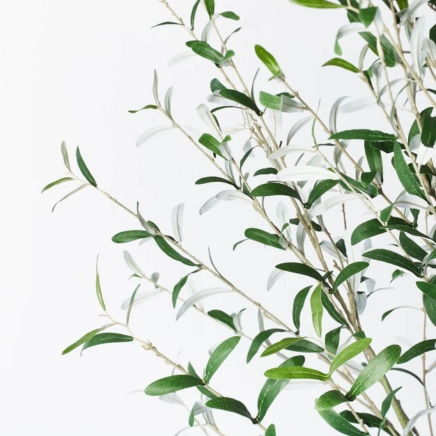 Artificial Olive Tree - Threshold Designed With Studio Mcgee