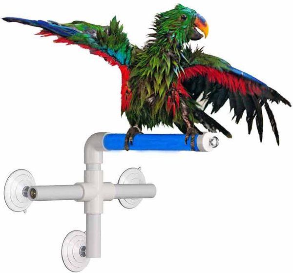 Super Bird Creations Fold Away Shower Window Bird Perch， Medium/Large