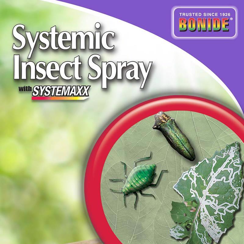 SYSTEMIC INSECT RTS