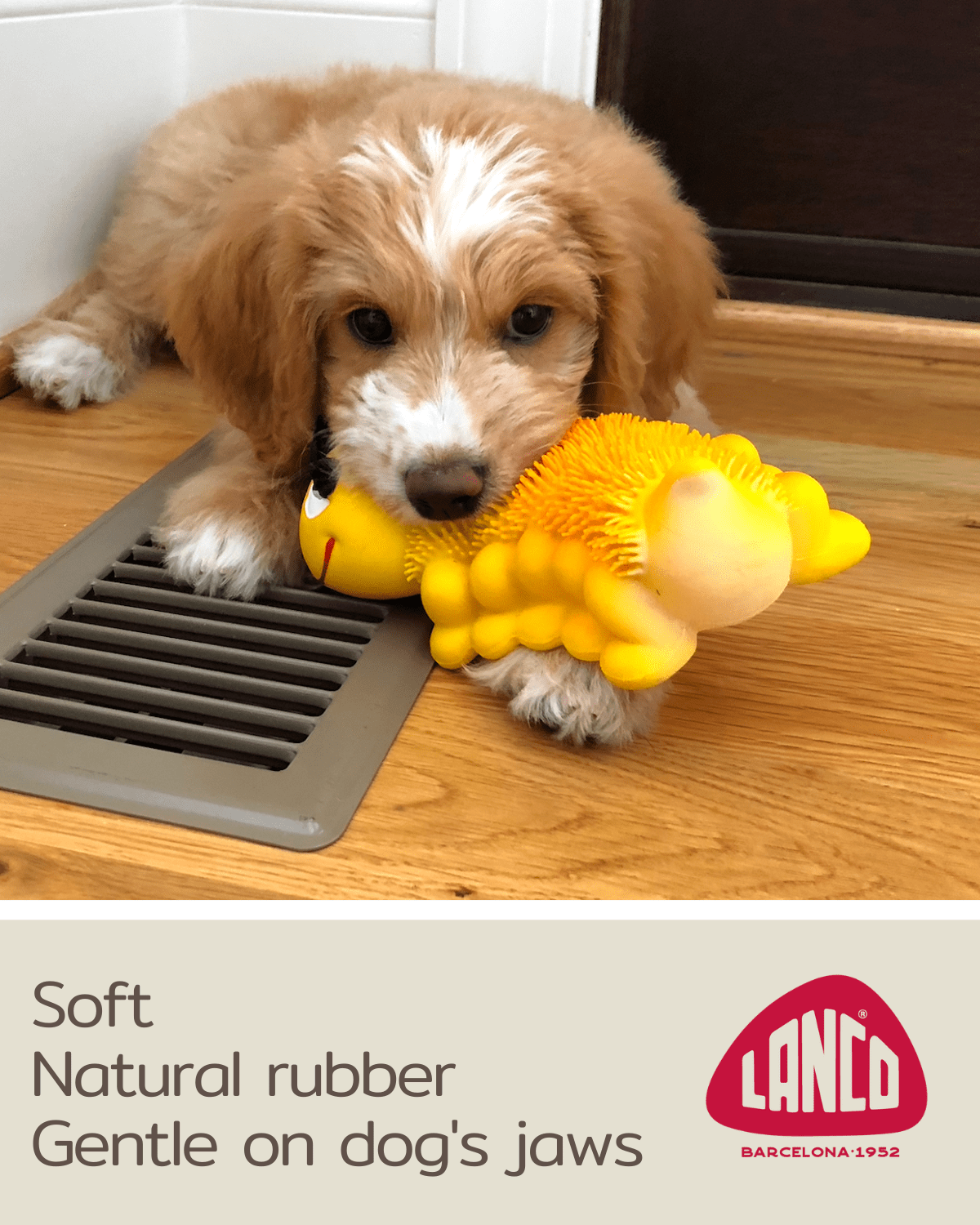 Caterpillar Squeaky Dog Toys  Soft Sensory Natural Rubber (Latex)