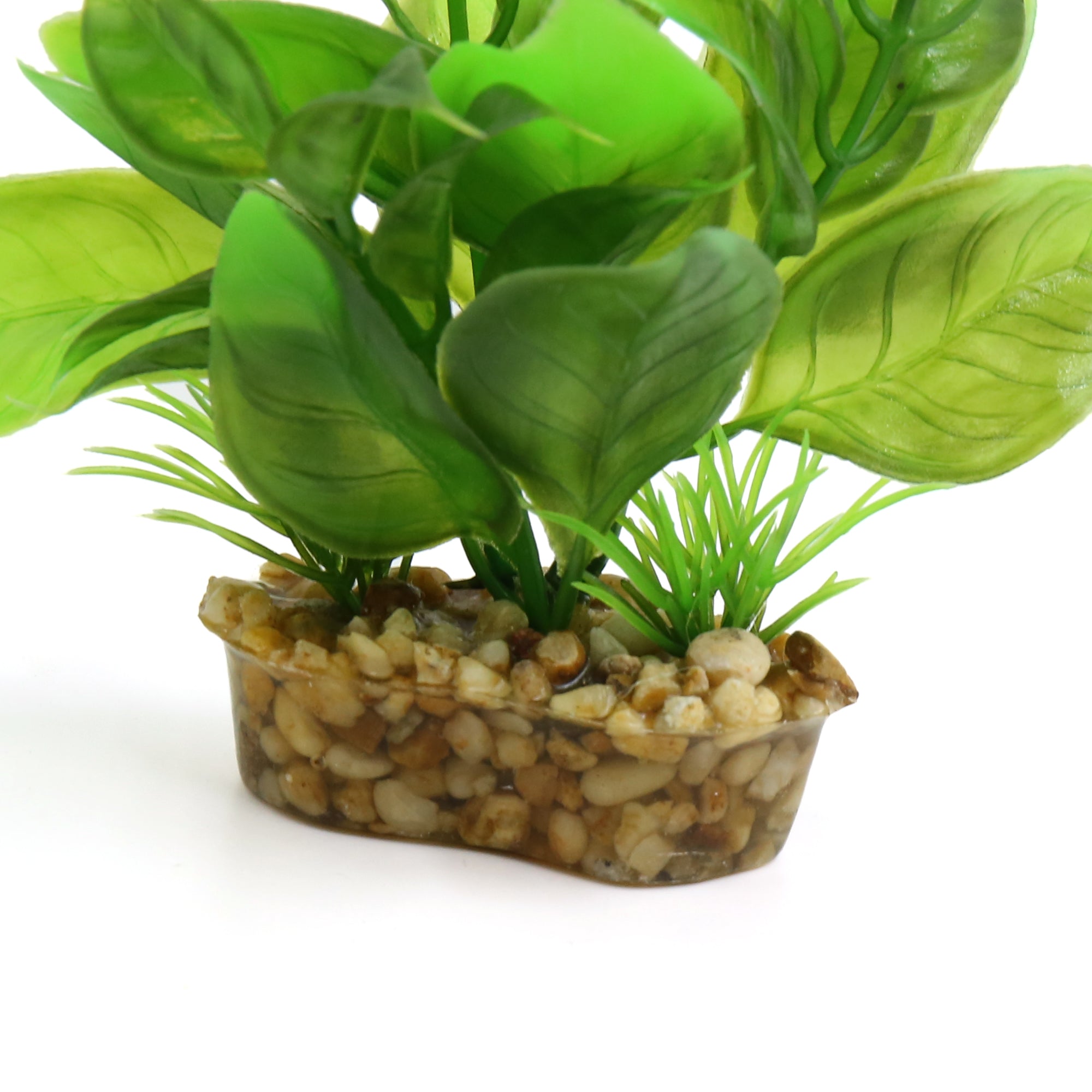 Green Plastic Mini Plant Terrarium Reptiles Habitat Decor Household Ornament w Stand