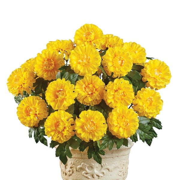 Marigold Mixed Arrangement Bushes