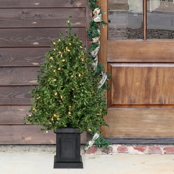 Fraser Hill Farm 4Ft. Boxwood Porch Tree in Black Pot with Warm White Lights，Set of 2