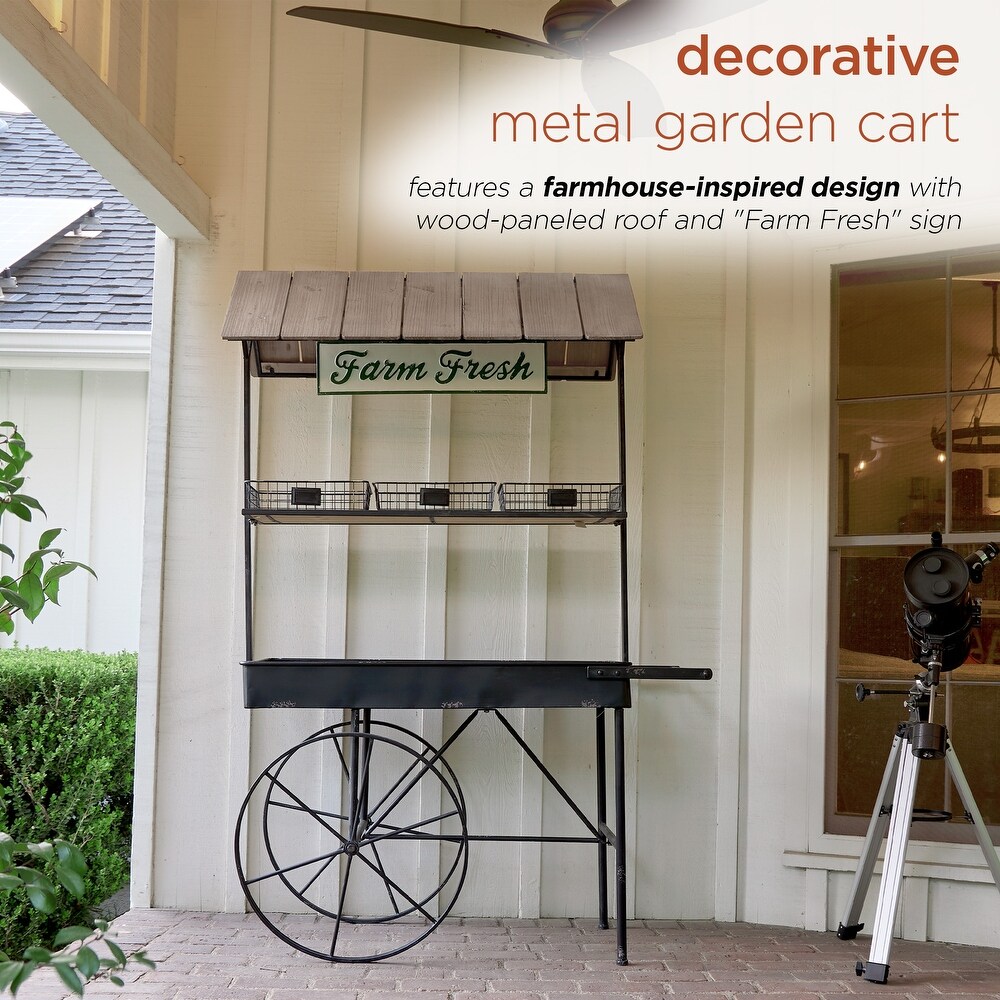 Alpine Corporation Farm Fresh Indoor/Outdoor Metal and Wood Garden Cart  51\