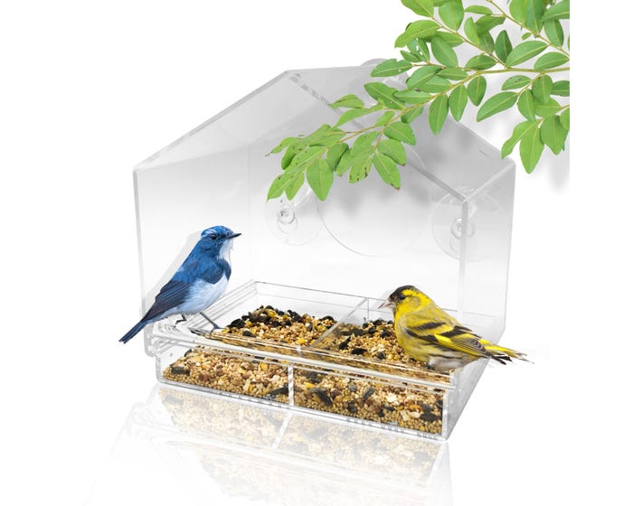 Backyard Expression Window Bird House Feeder and 4 Extra Strong Suction Cups， Birdhouse Shaped Design - 913555