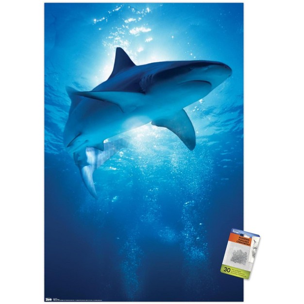 Trends International Shark Depths Unframed Wall Poster Prints