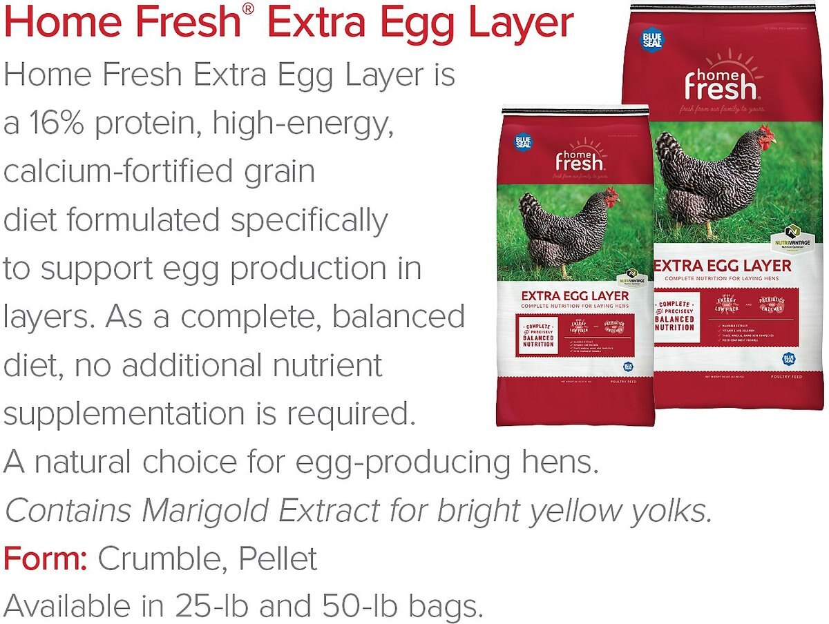 Blue Seal Home Fresh Extra Egg Layer Pellets Poultry Feed