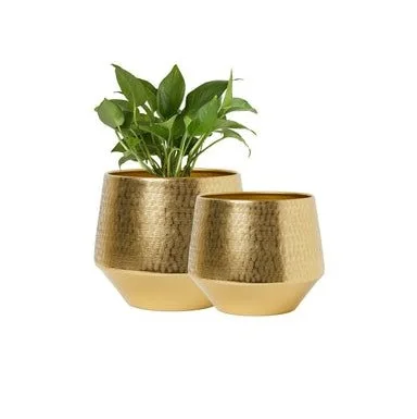 Set Of Two Indian Trending Planter Iron metal Manufacture New Brilliant Home decorative planter With OEM ODM Customized