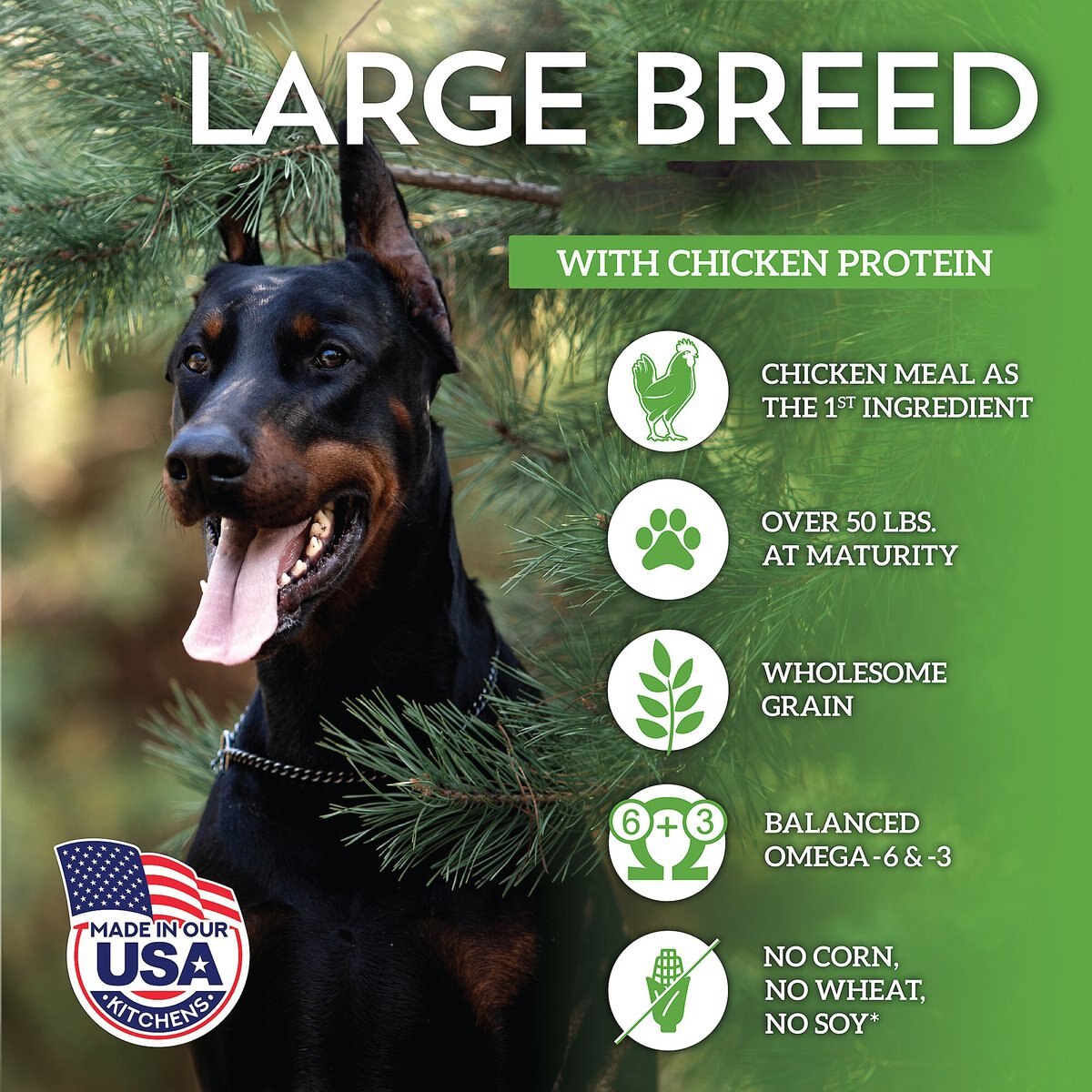 Wholesomes Large Breed with Chicken Meal and Rice Formula Adult Dry Dog Food