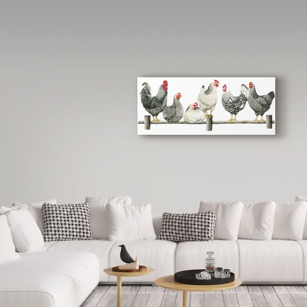 Trademark Fine Art janet Pidoux x27 hens White Background x27 Canvas Art