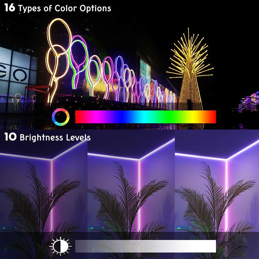 DELight Neon Rope Light Flexible 100ft 16 Colors & 4 Modes