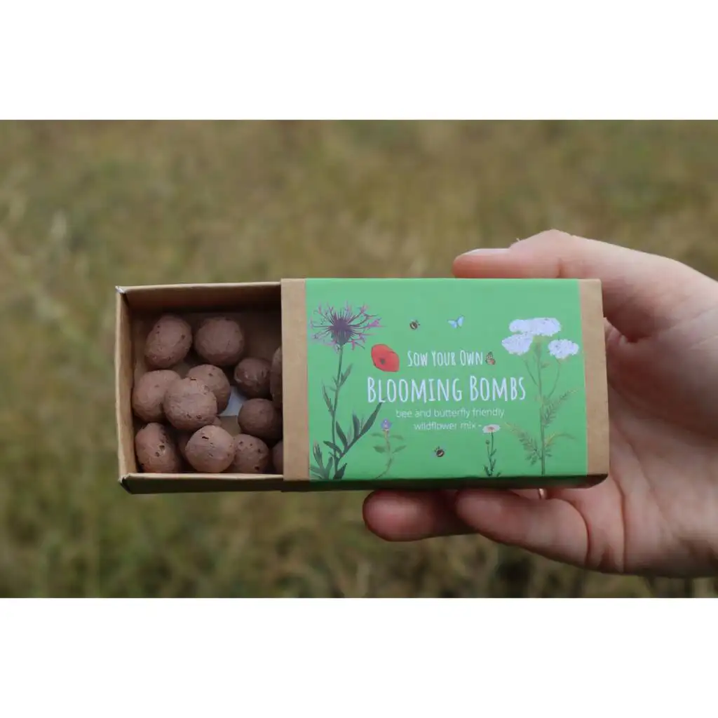 OEM Wildflower Seedball For Bees And Butterflies 2x Boxes Flower Box Garden Supplies Handmade Paper Indoor Grow Kits