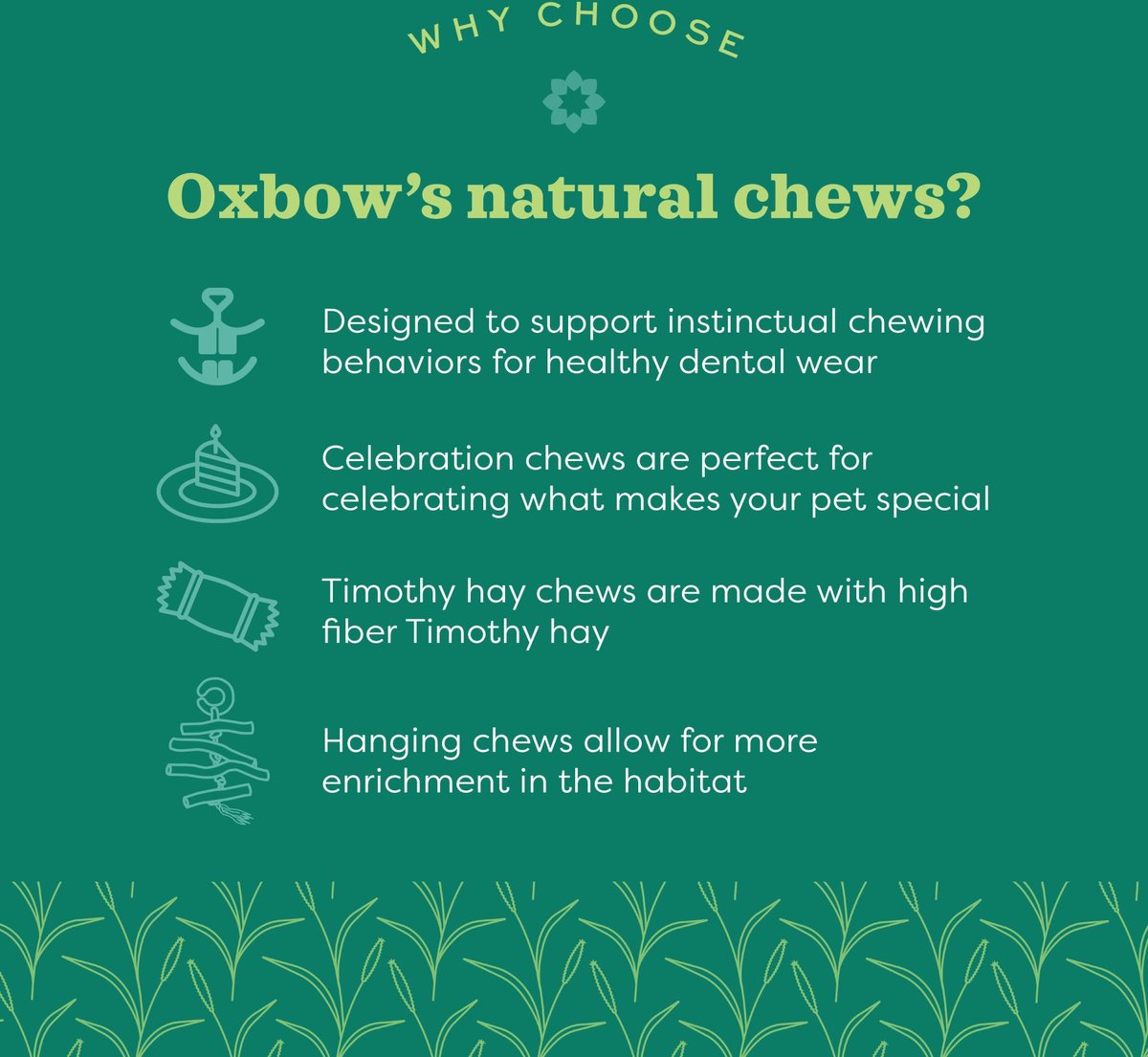 Oxbow Enriched Life Deluxe Hay Wrap Small Animal Chew Toy