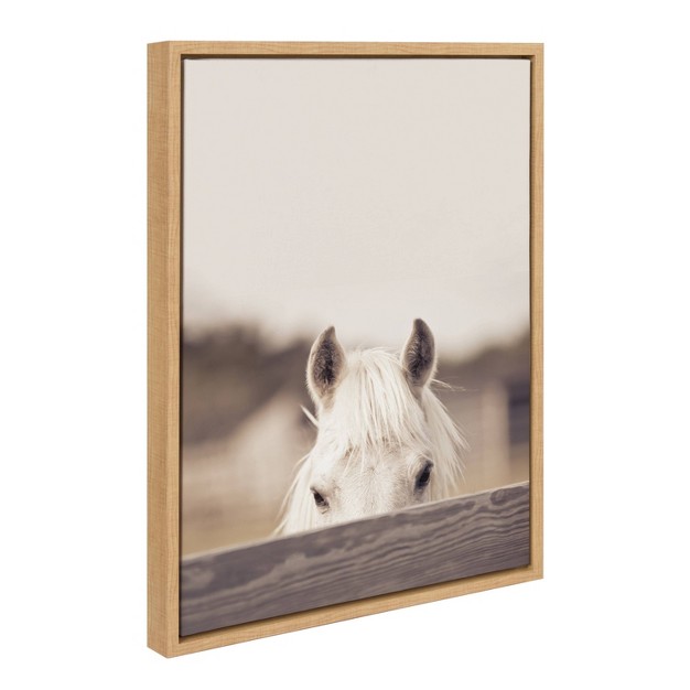 X 24 quot Sylvie Equine By Robert Cadloff Of Bomobob Framed Wall Canvas Natural Kate amp Laurel All Things Decor