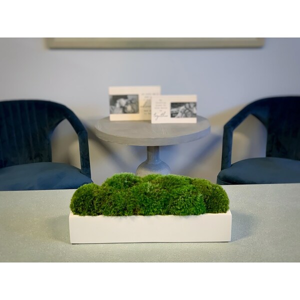 Mood Moss Arrangement in a Fiberstone Planter