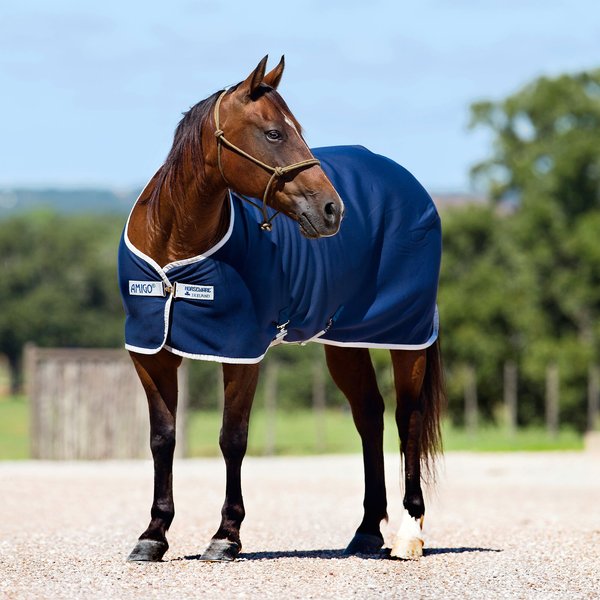 AMIGO Jersey Horse Cooler， Navy/Silver