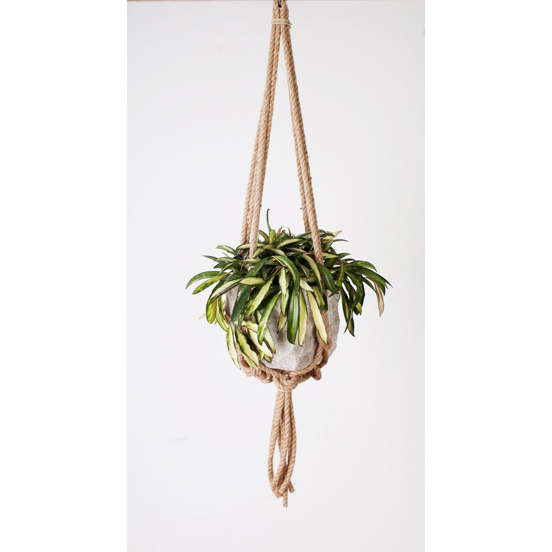 KNOTTED PLANT HANGER 36