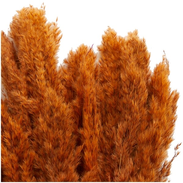 Orange Dried Plant Pampas Home Decor Natural Foliage with Long Stems