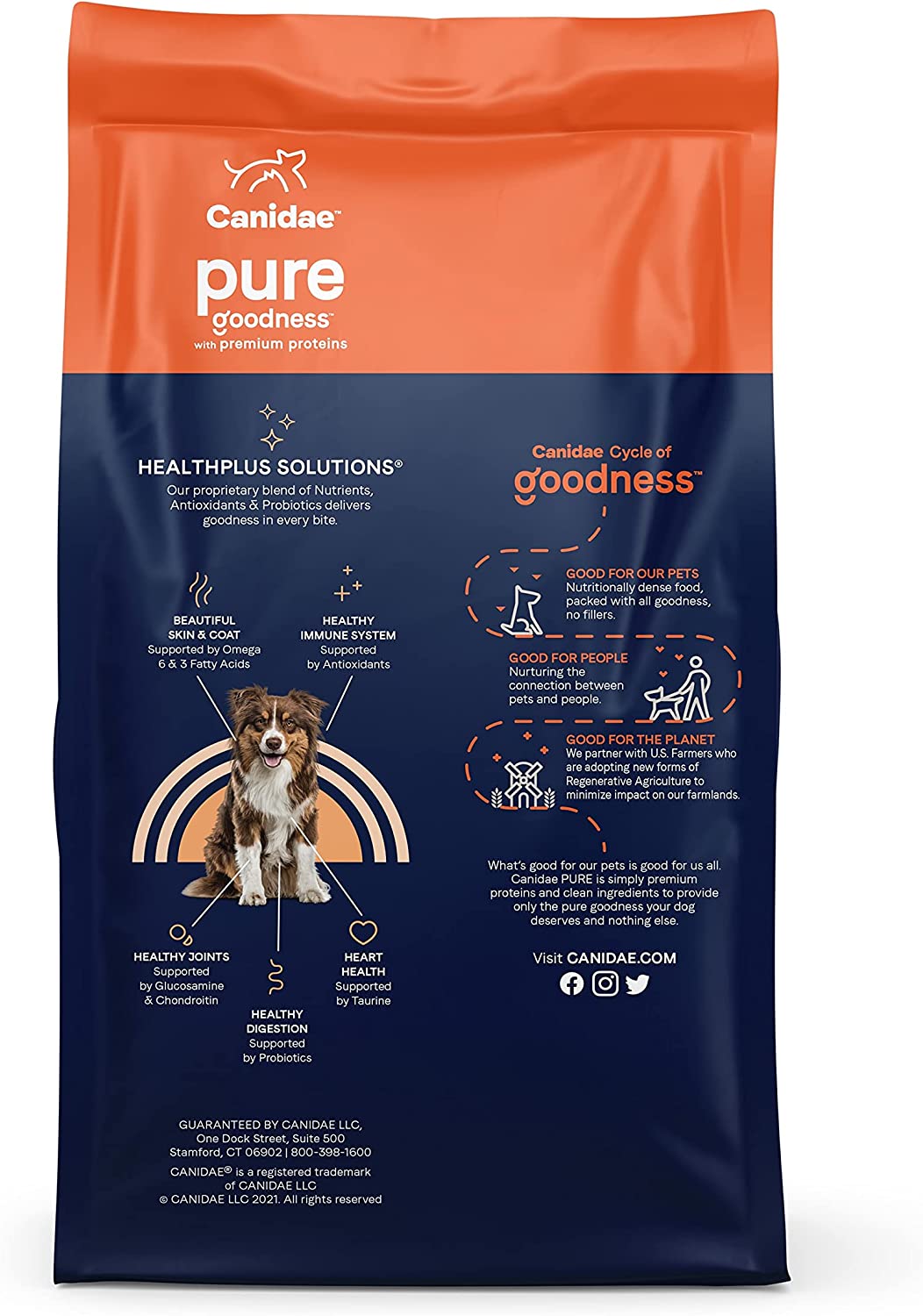 CANIDAE PURE with Wholesome Grains Real Salmon and Barley Recipe Adult Dry Dog Food 24 Pound (Pack of 1)