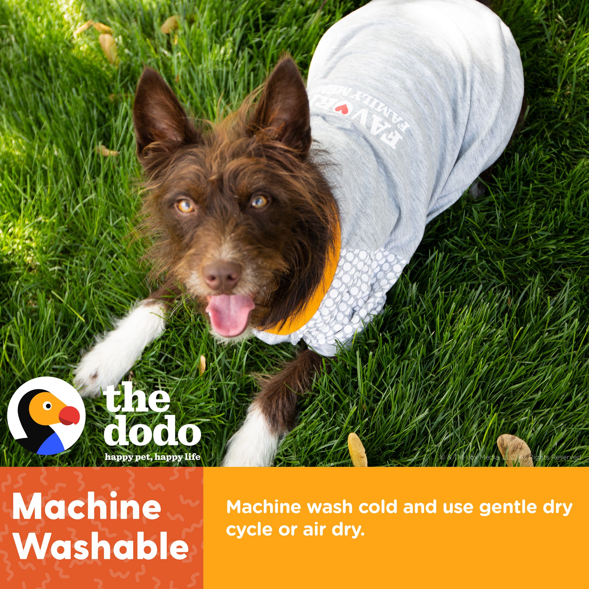 The Dodo Grey T-Shirt Small