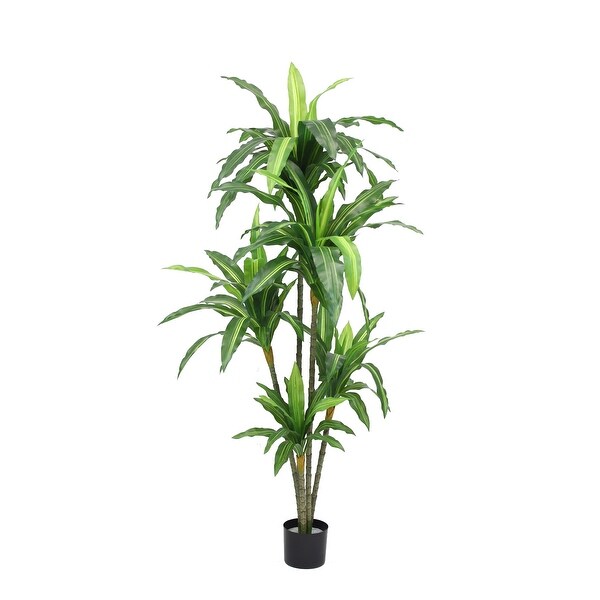 The Mod Greenhouse Artificial Dracaena Plant in Black Matte Planter's Pot